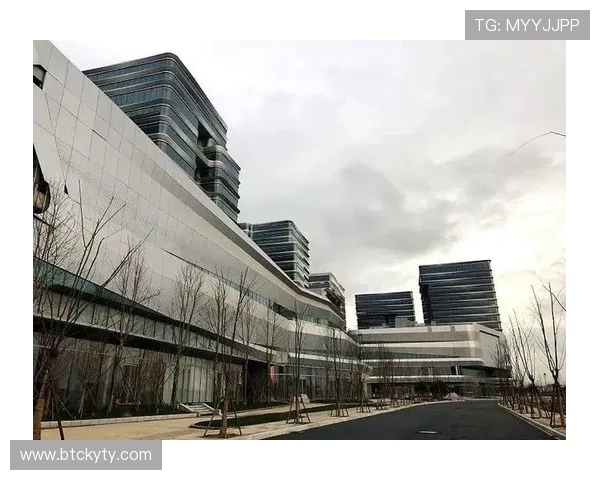 开云体育入口客服提供个性化服务方案，满足不同用户的账户管理与安全保障需求